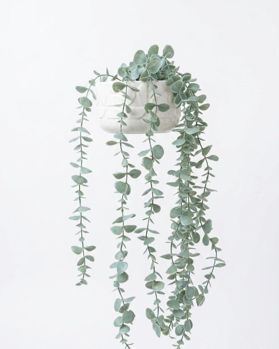 Cascading Eucalyptus in Geo-Carved Pot