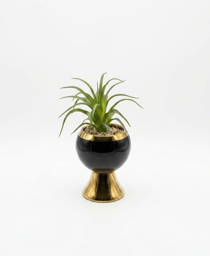 The Executive Verdant Urn