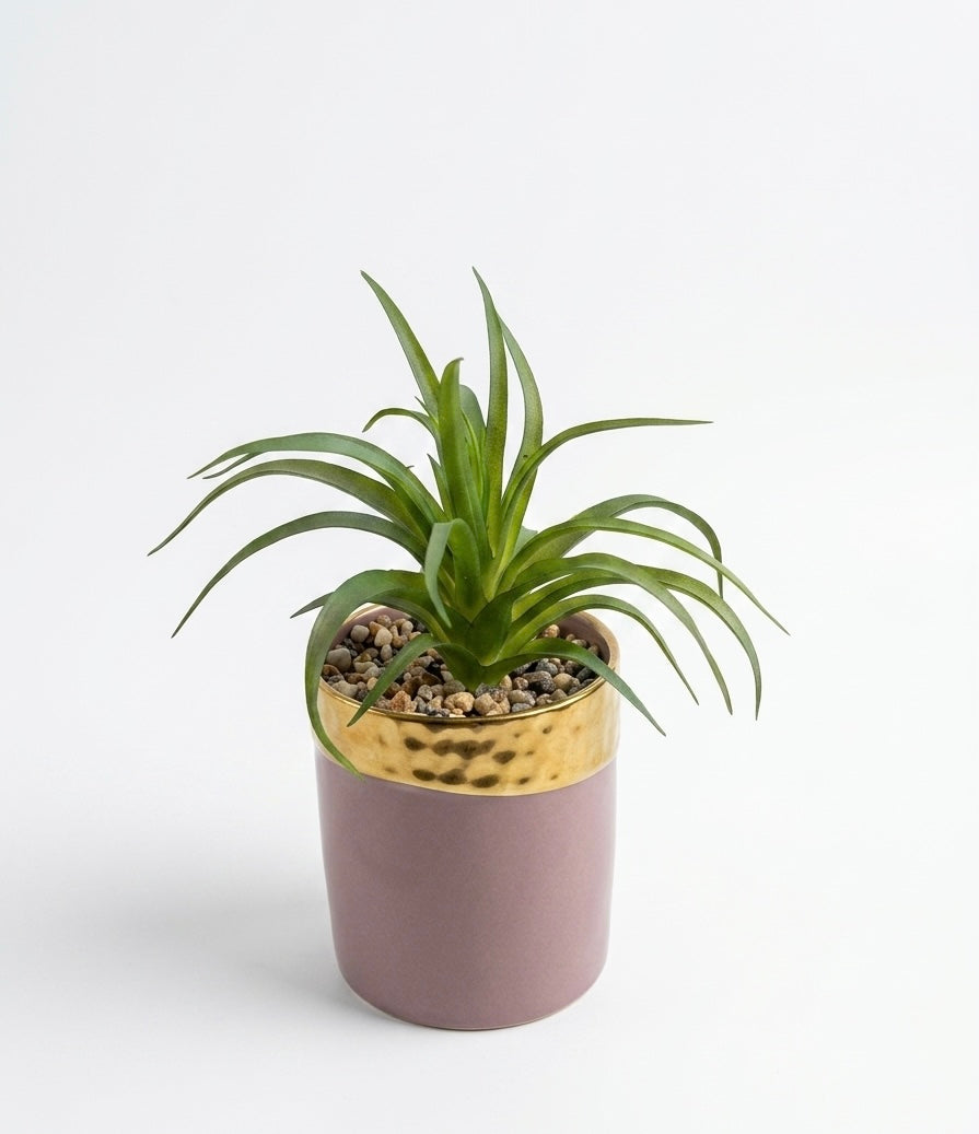 Amethyst & Gold & White Planter