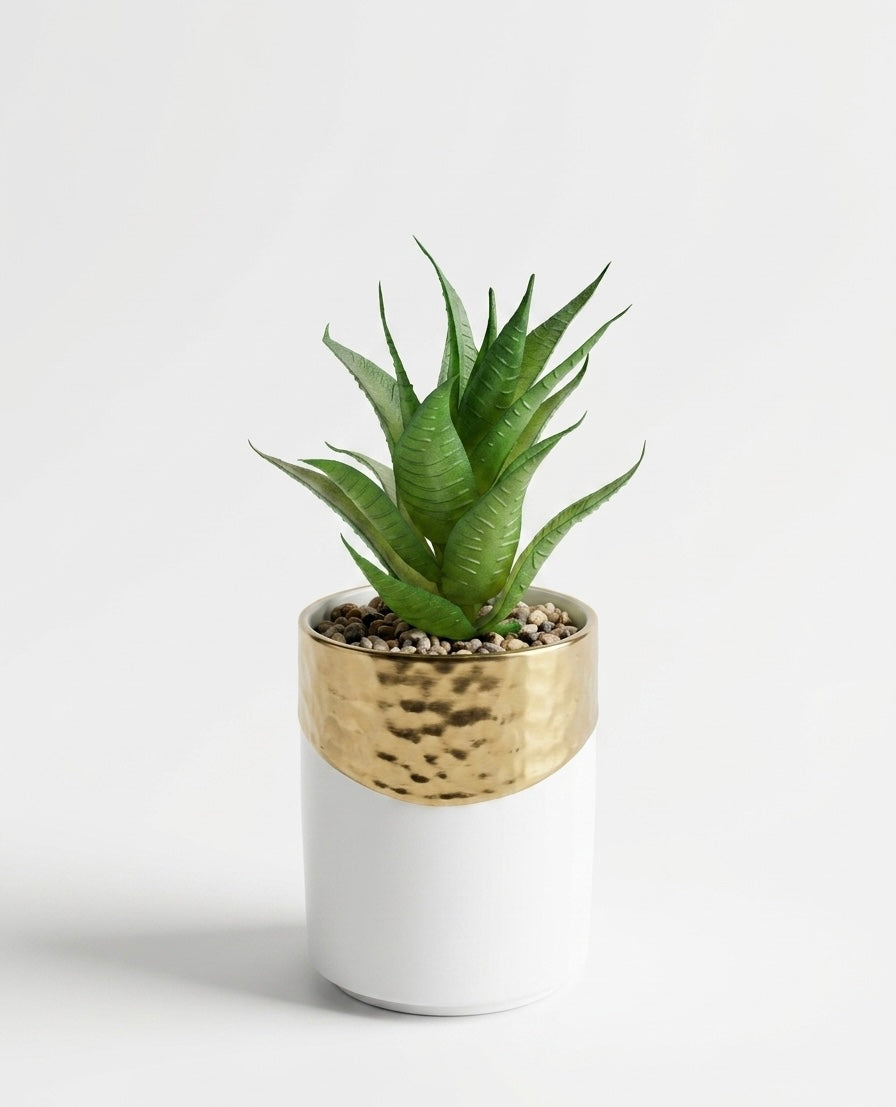 Amethyst & Gold & White  Planter