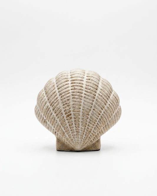 Artisanal Scallop Shell Ceramic Decor