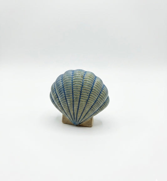 Artisanal Scallop Shell Ceramic Decor