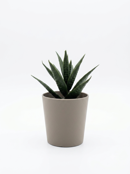 Mini Faux Haworthia Succulent in Gray Potted Planter