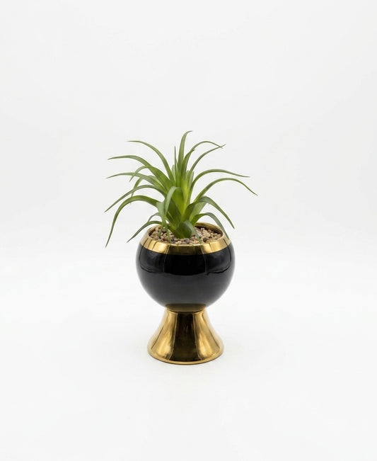 The Executive Verdant Urn