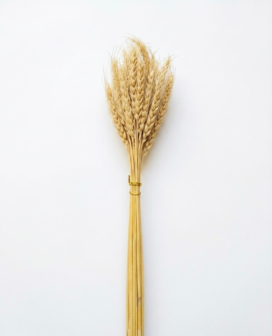 Rustic Dried Wheat Bundle
