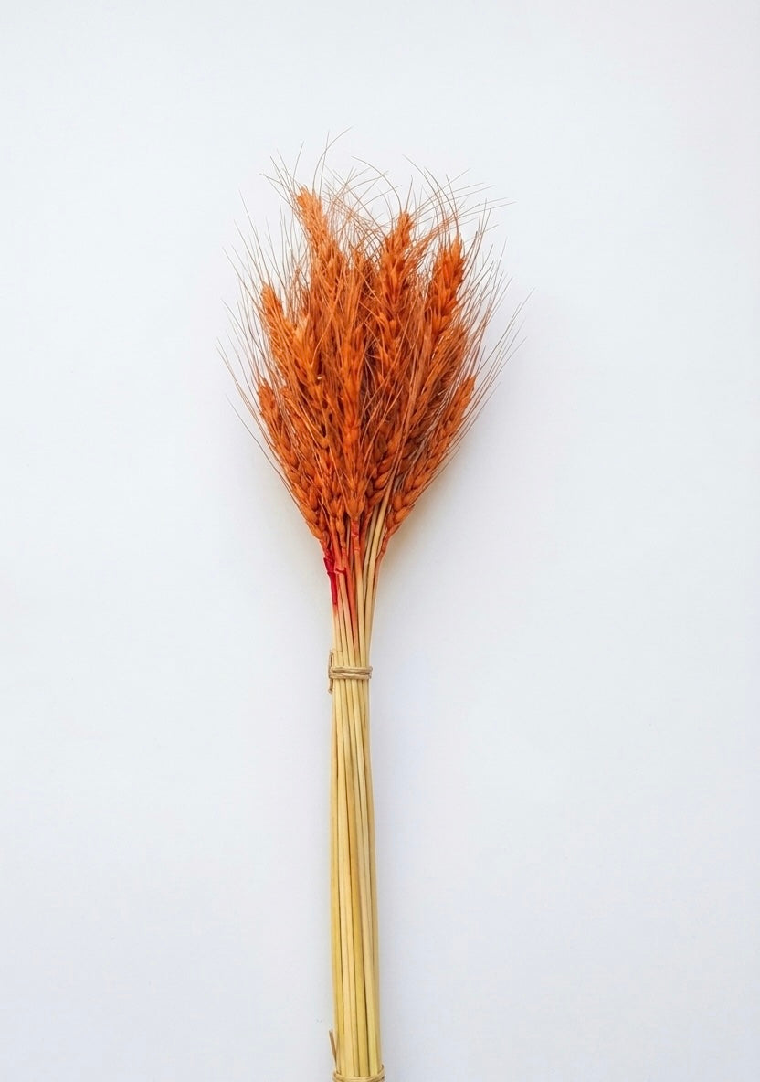 Rustic Dried Wheat Bundle