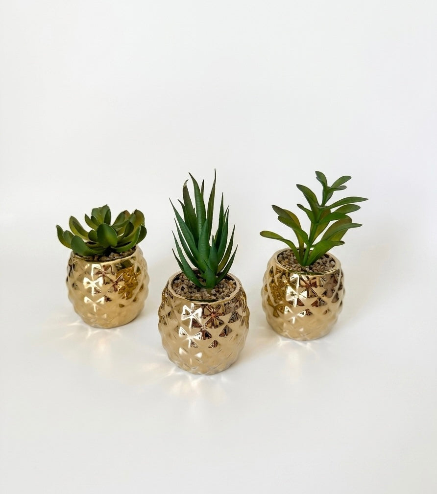 Golden Pineapple Mini Succulent Planter