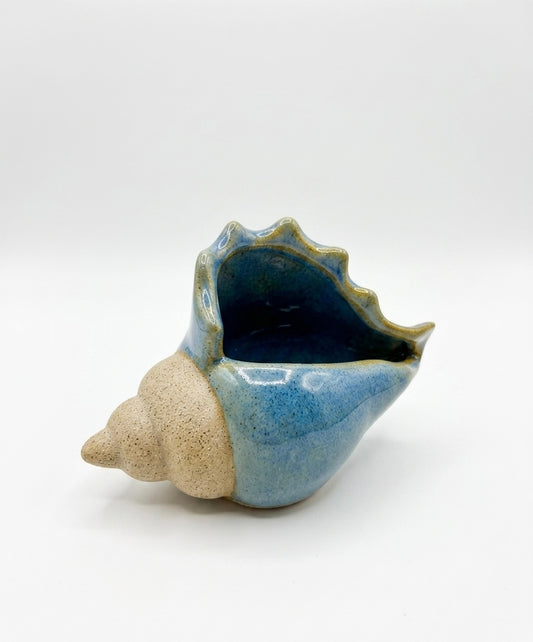 Handcrafted Ceramic Conch Shell Decorative Dish