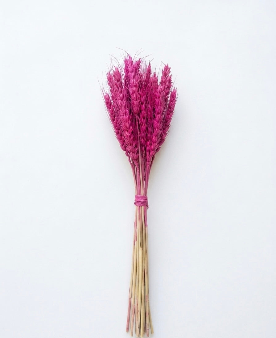 Rustic Dried Wheat Bundle