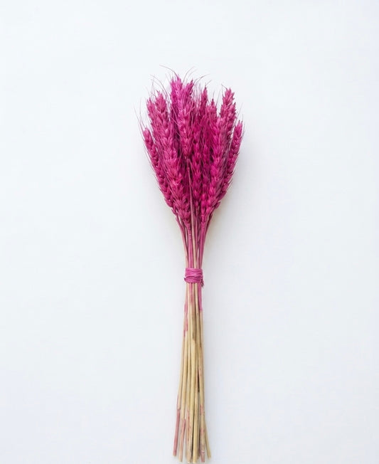 Rustic Dried Wheat Bundle