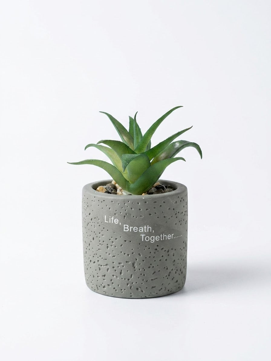 Miniature Faux Aloe Succulent in Engraved Concrete Pot - 'Life, Breath, Together' - 10cm