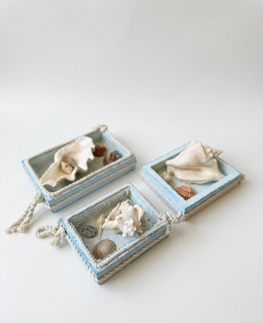 Ocean Breeze Coastal Wooden Shadow Boxes with Natural Seashells – Set of 3