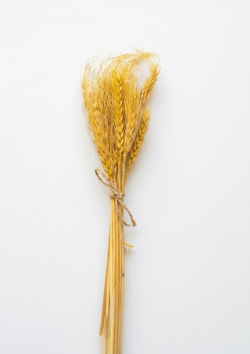 Rustic Dried Wheat Bundle